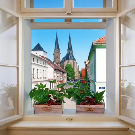 Guest house Bonvivan