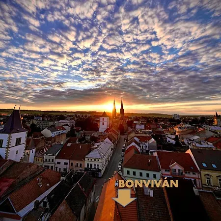 Guest house Bonvivan Vysoke Myto
